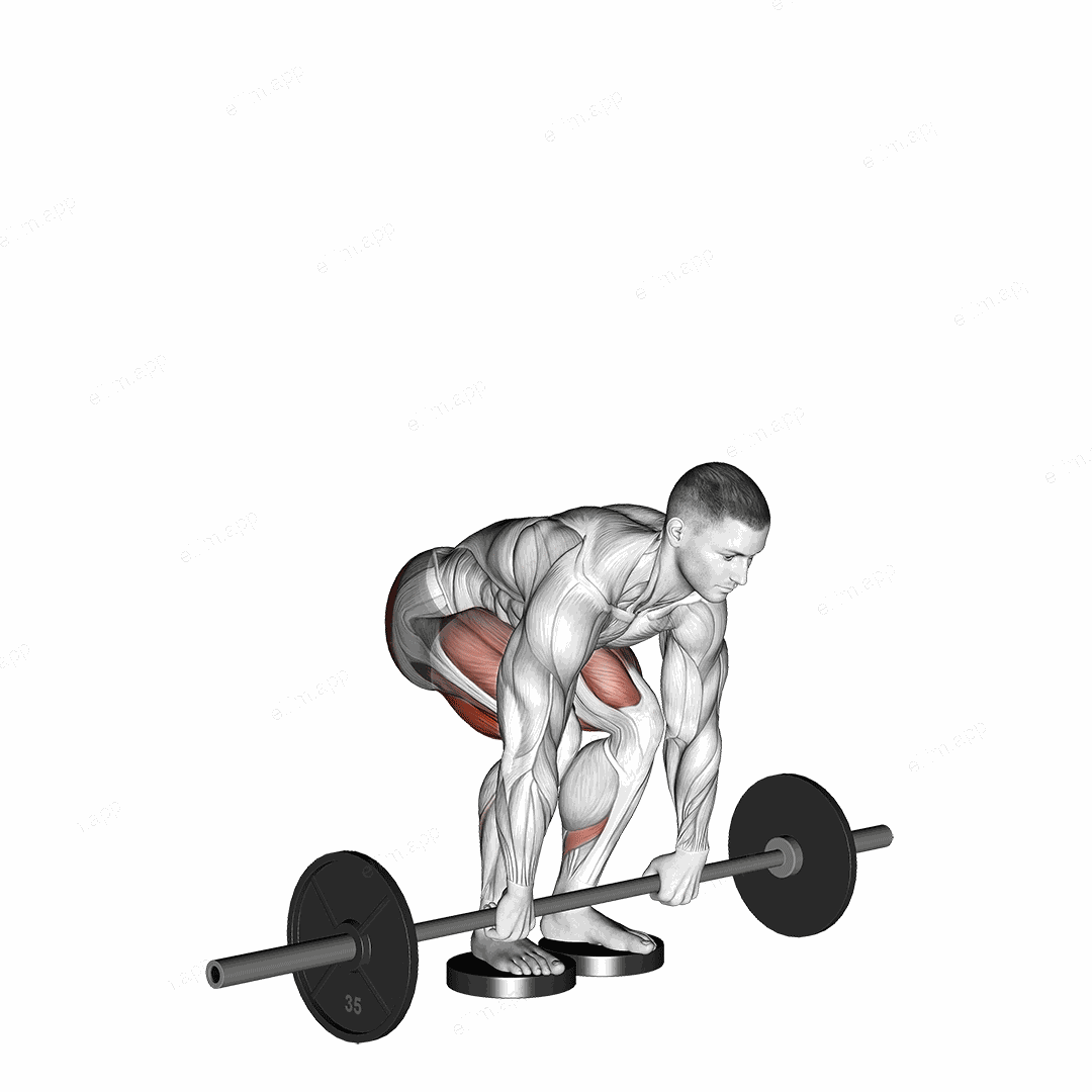 Barbell Romanian Deadlift From Deficit exercise targeting Hips