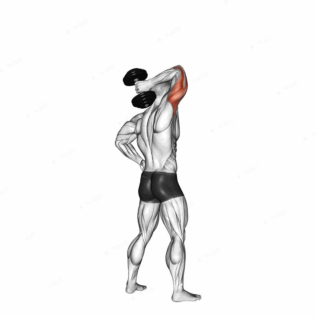 Dumbbell Standing One Arm Extension exercise targeting Upper Arms and Triceps Brachii