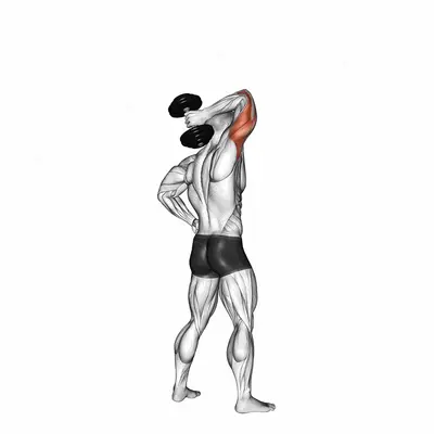Dumbbell Standing One Arm Extension exercise targeting Upper Arms and Triceps Brachii