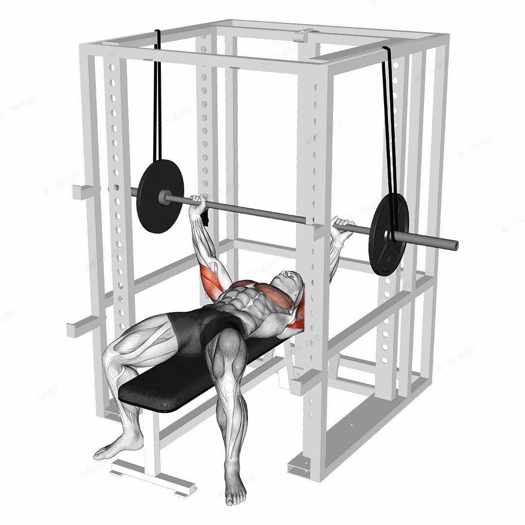 Barbell Reverse Band Bench Press exercise targeting Upper Arms and Triceps Brachii