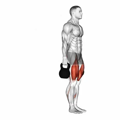 Kettlebell Backward Lunge exercise targeting Gluteus Maximus and Quadriceps
