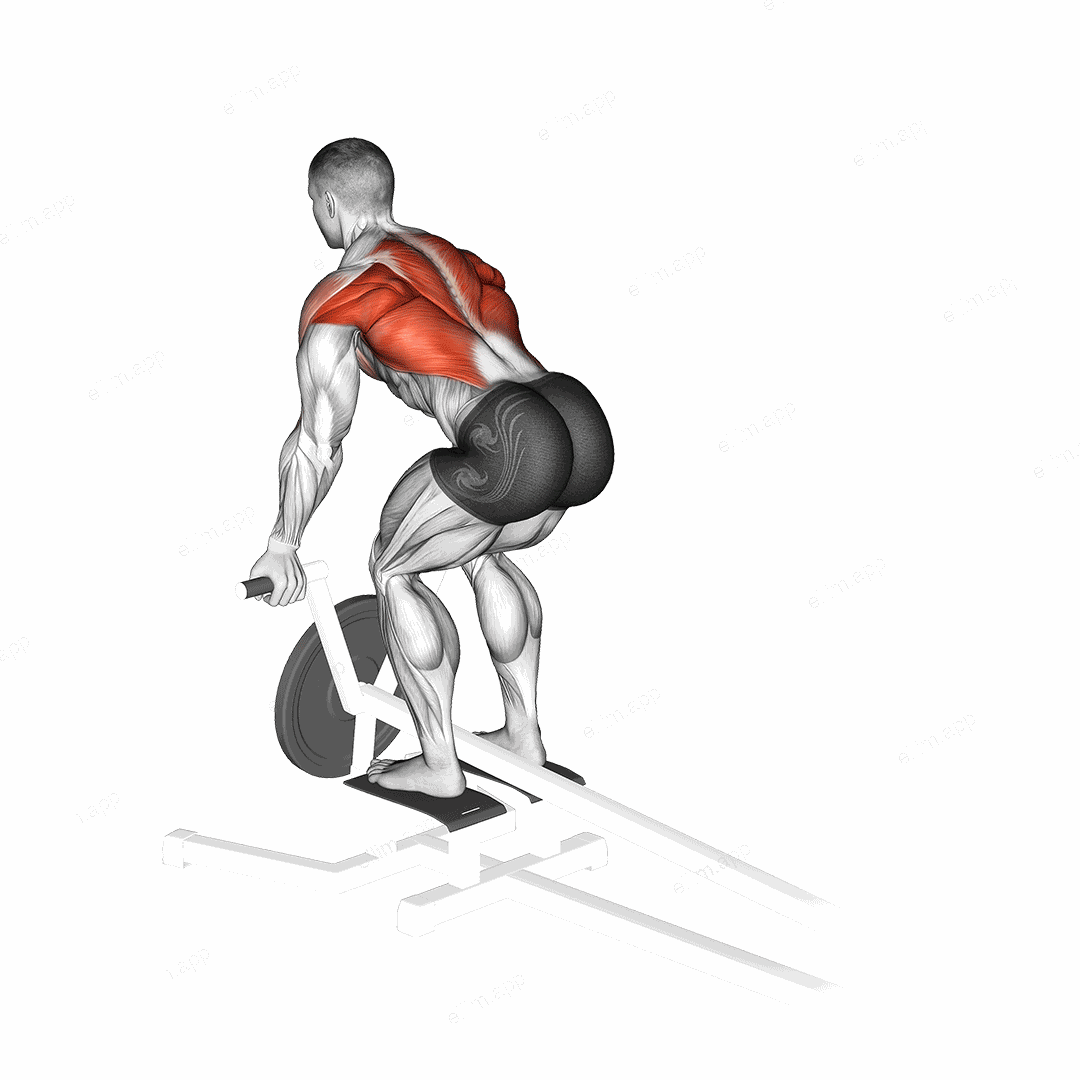 Lever T Bar Reverse Grip Row exercise targeting Back
