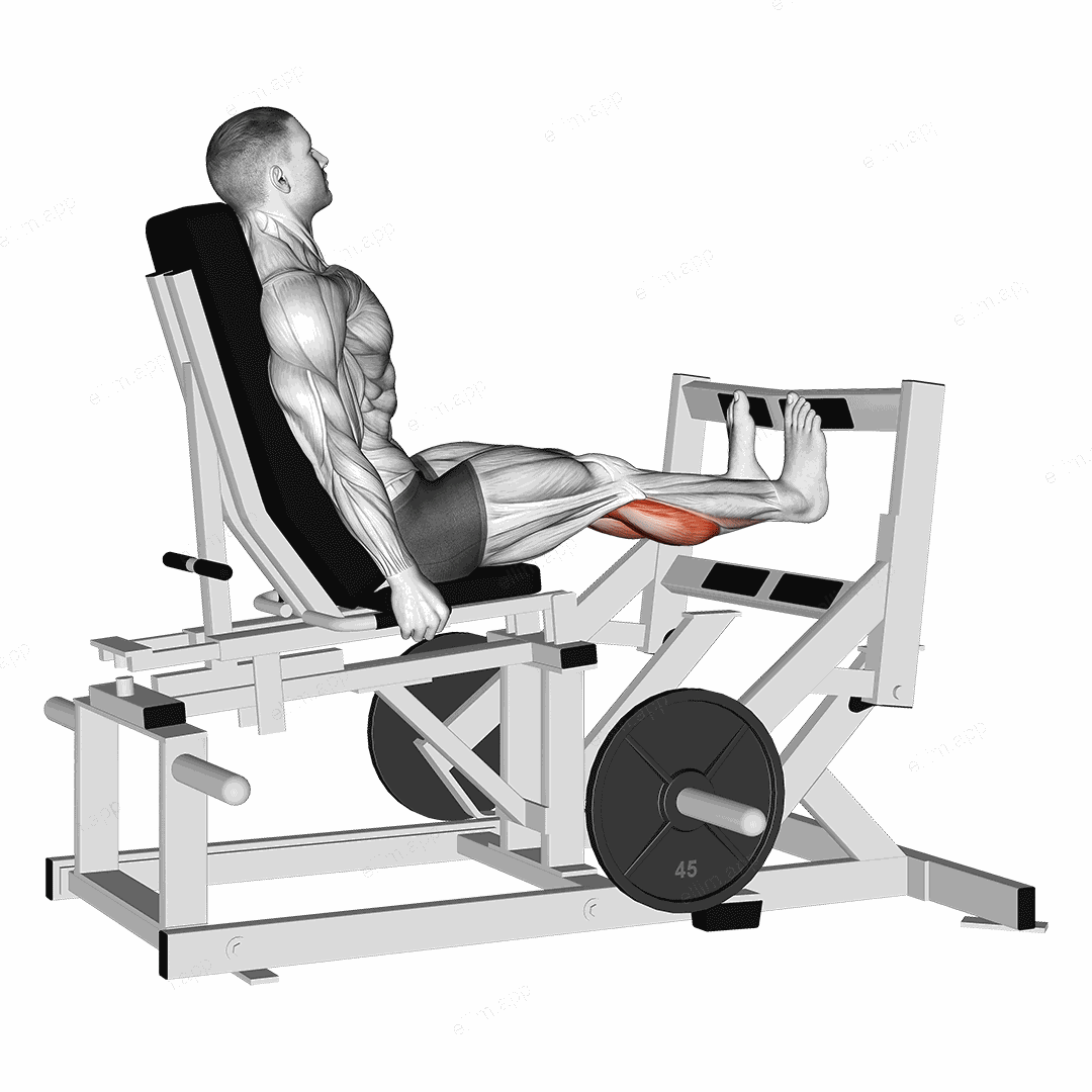 Lever Calf Press (plate loaded) exercise targeting Calves