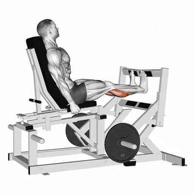 Lever Calf Press (plate loaded) exercise targeting Calves