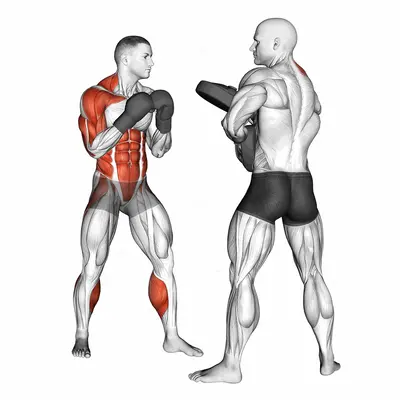 Boxing Right Uppercut (with partner) exercise targeting Plyometrics