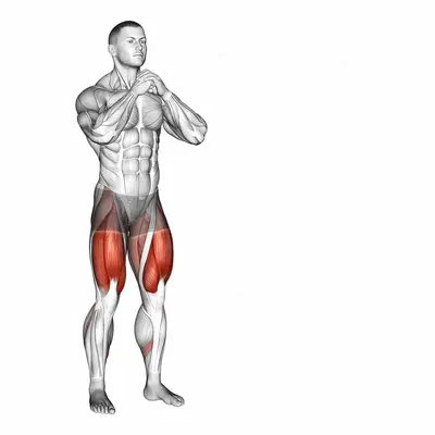Side Lunge exercise targeting Gluteus Maximus and Quadriceps