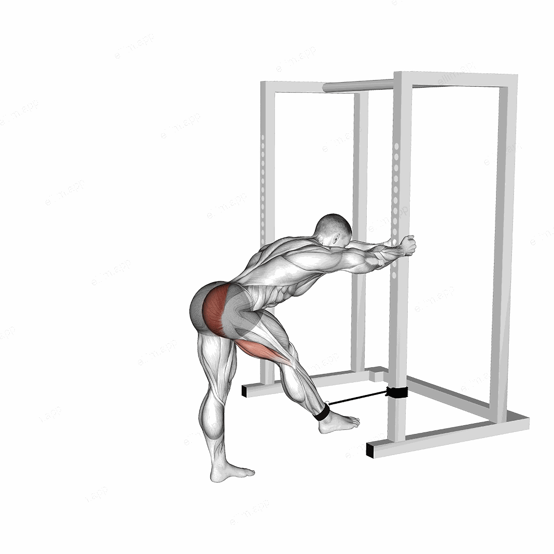 Band Bent over Hip Extension exercise targeting Hips