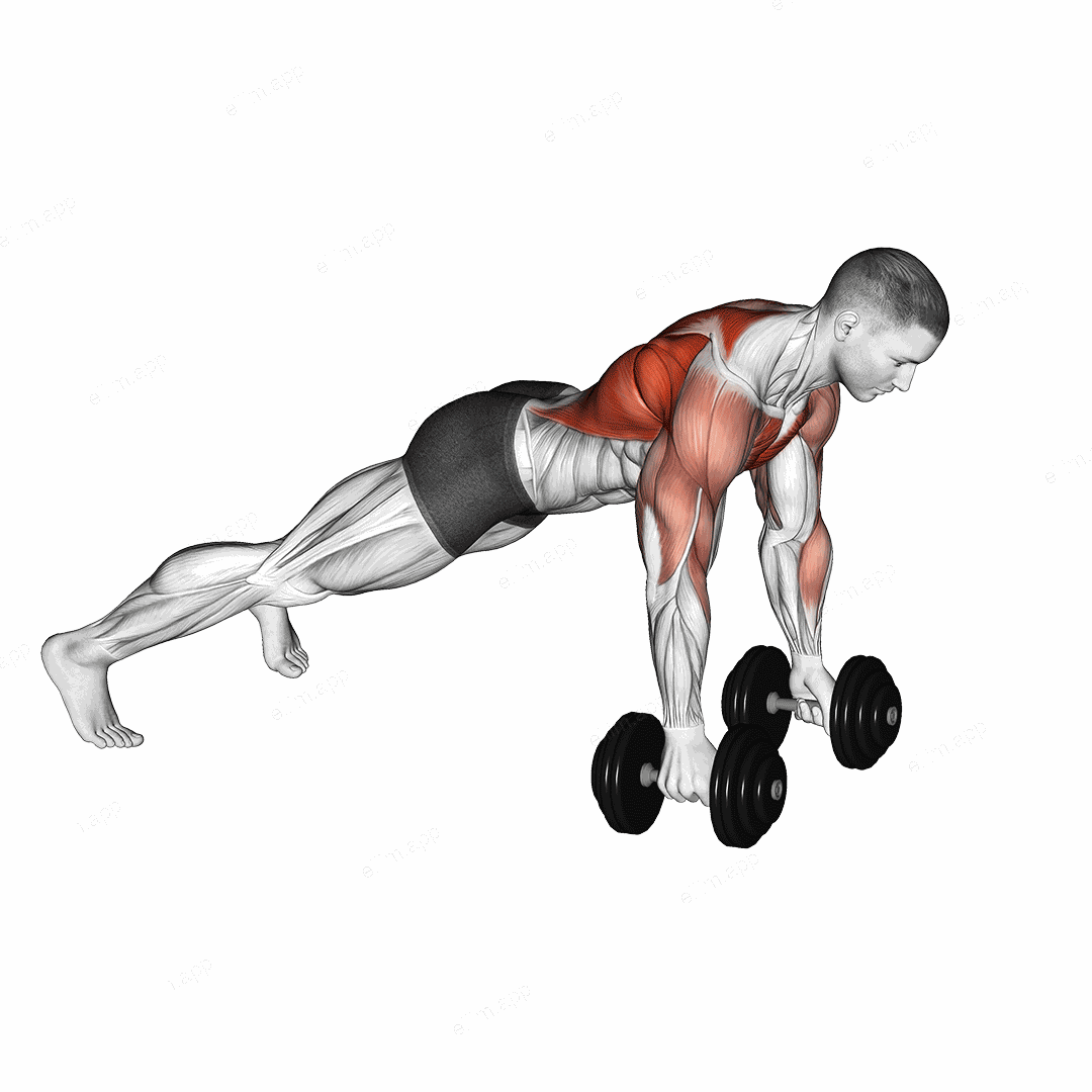 Dumbbell Deep Push up and Renegade Row exercise targeting Chest