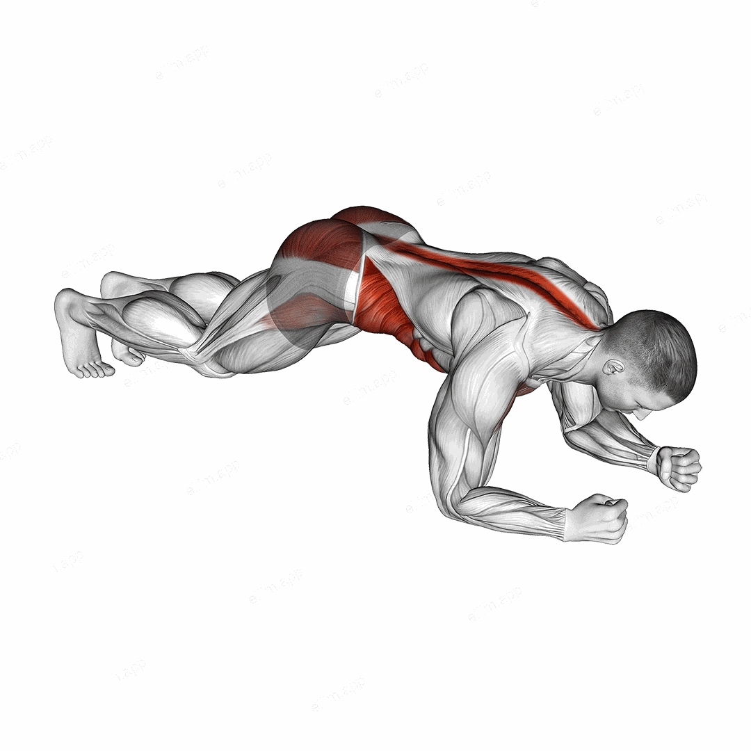 Hip Roll Plank exercise targeting Waist