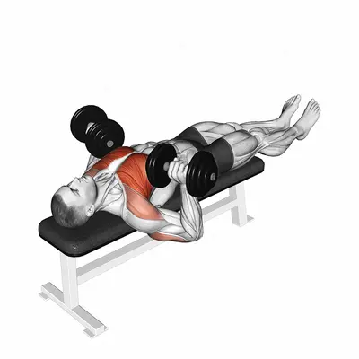 Dumbbell Larsen Press exercise targeting Chest