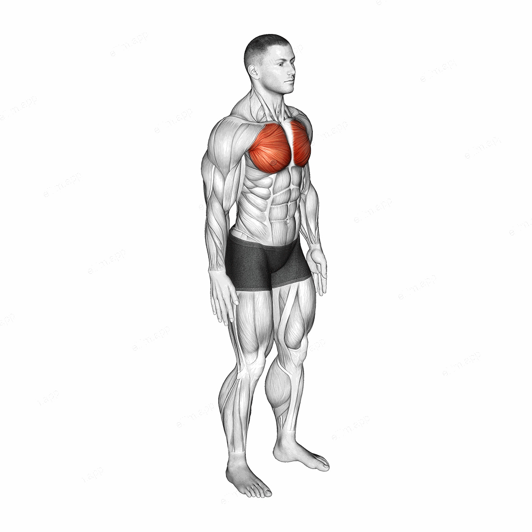 Elbows Back Stretch exercise targeting Deltoid Anterior and Erector Spinae