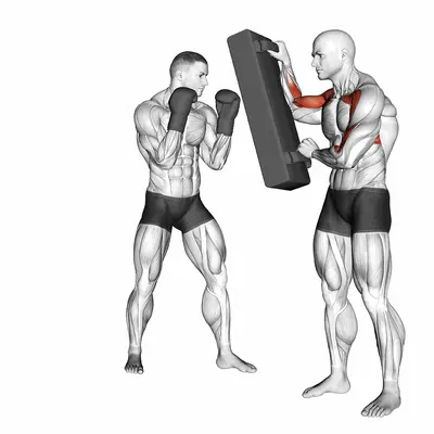 Hook Kick Kickboxing (with partner) exercise targeting Plyometrics