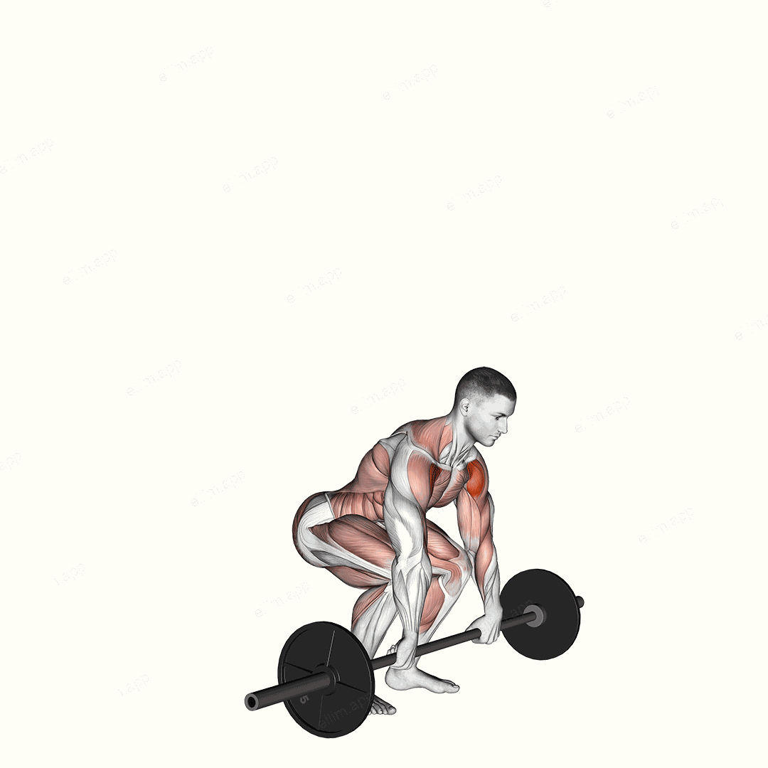 Barbell Clean and Press exercise targeting Shoulders and Deltoid Anterior