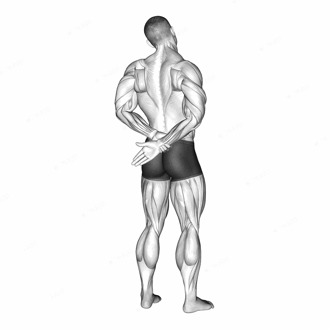 Adduction Of Arm In Back Stretch exercise targeting Back