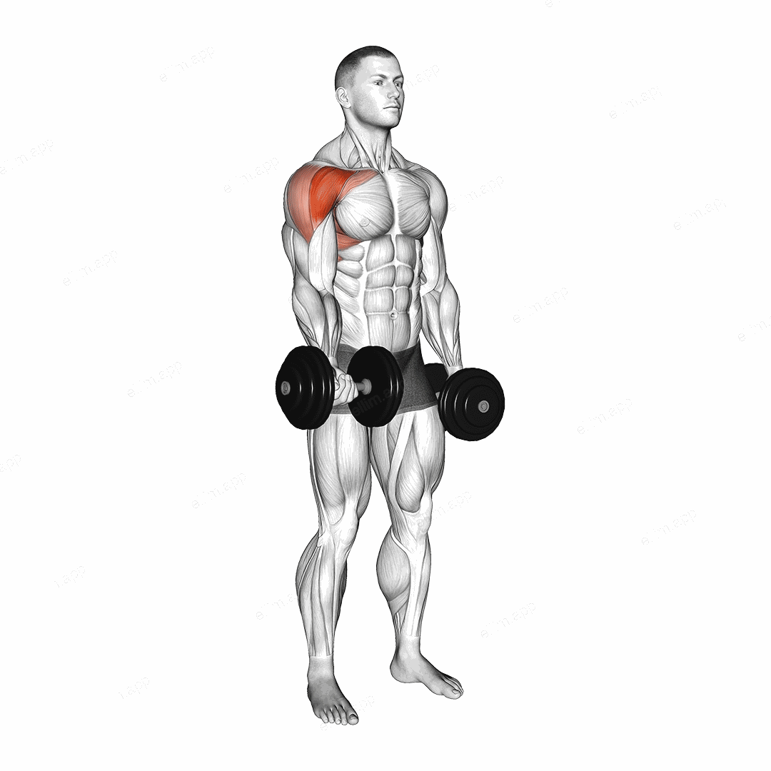 Dumbbell Single Arm Underhand Front Raise exercise targeting Shoulders and Deltoid Anterior