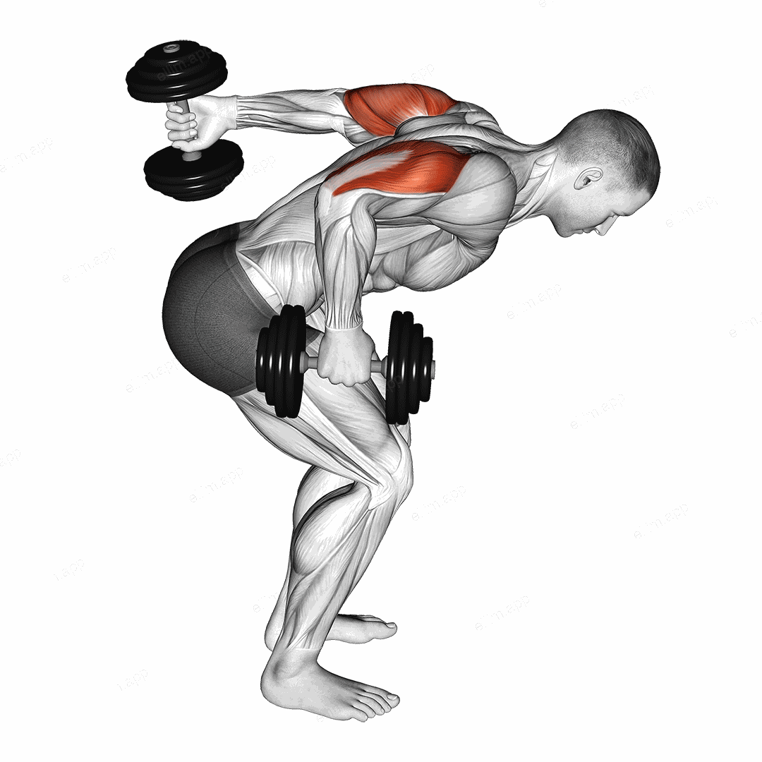 Dumbbell Standing Alternating Tricep Kickback exercise targeting Upper Arms