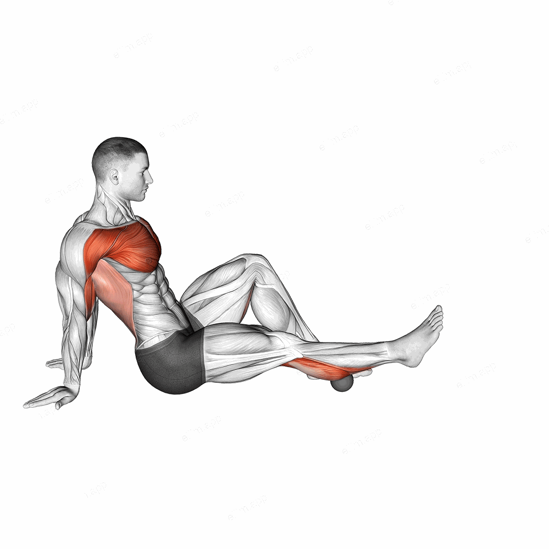 Rollball Seated Single Leg Shoulder Flexor Depresor Retractor exercise targeting Chest