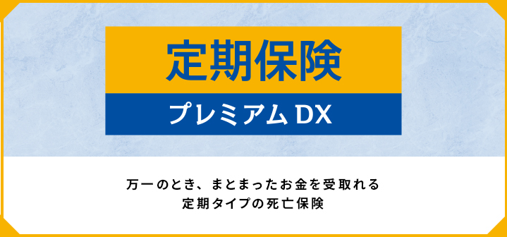 定期保険プレミアムZ
