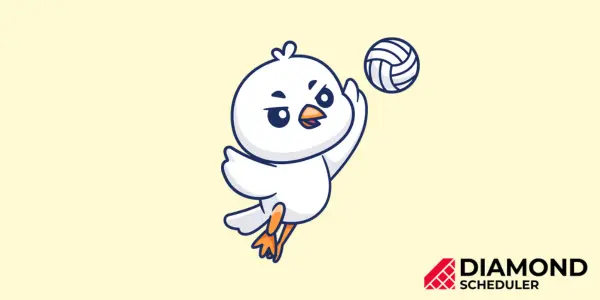 Volleyball Nations League Format, Rules, and Regulations