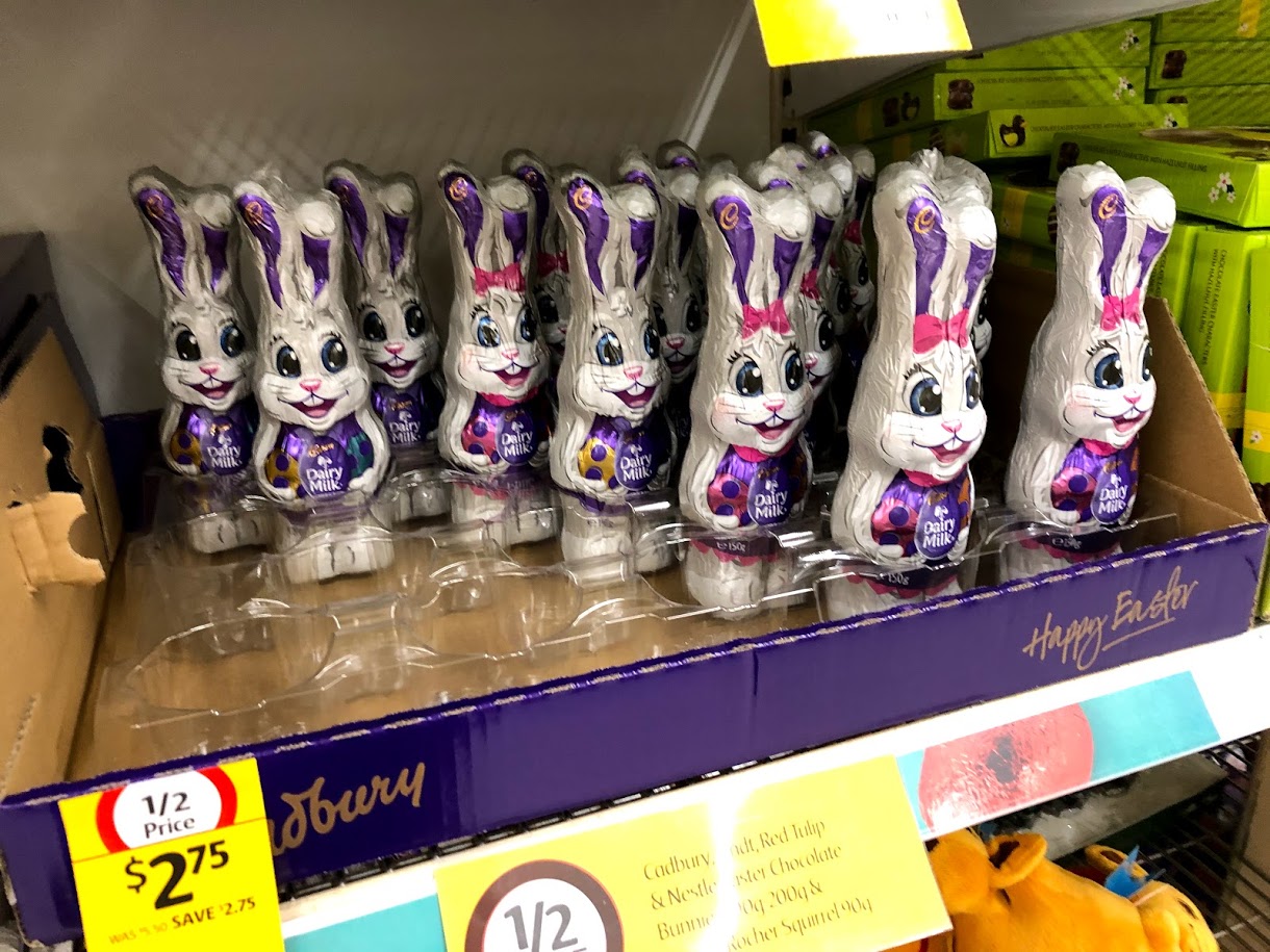 bunny