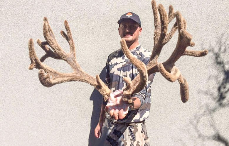Drawing to win a 2016 colorado governor s mule deer tag gohunt the