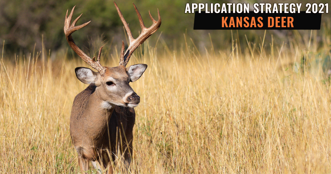 APPLICATION STRATEGY 2021: Kansas Deer // GOHUNT. The Hunting Company