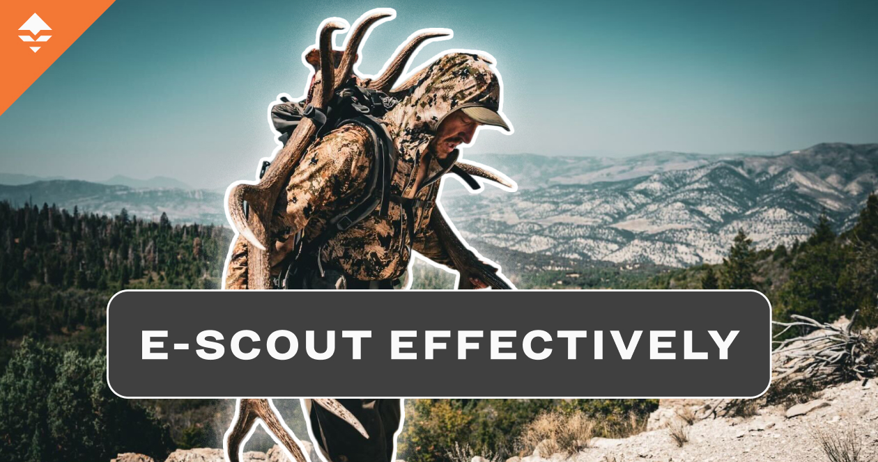 Mapping public land elk for better hunting success — Trail needs an elk