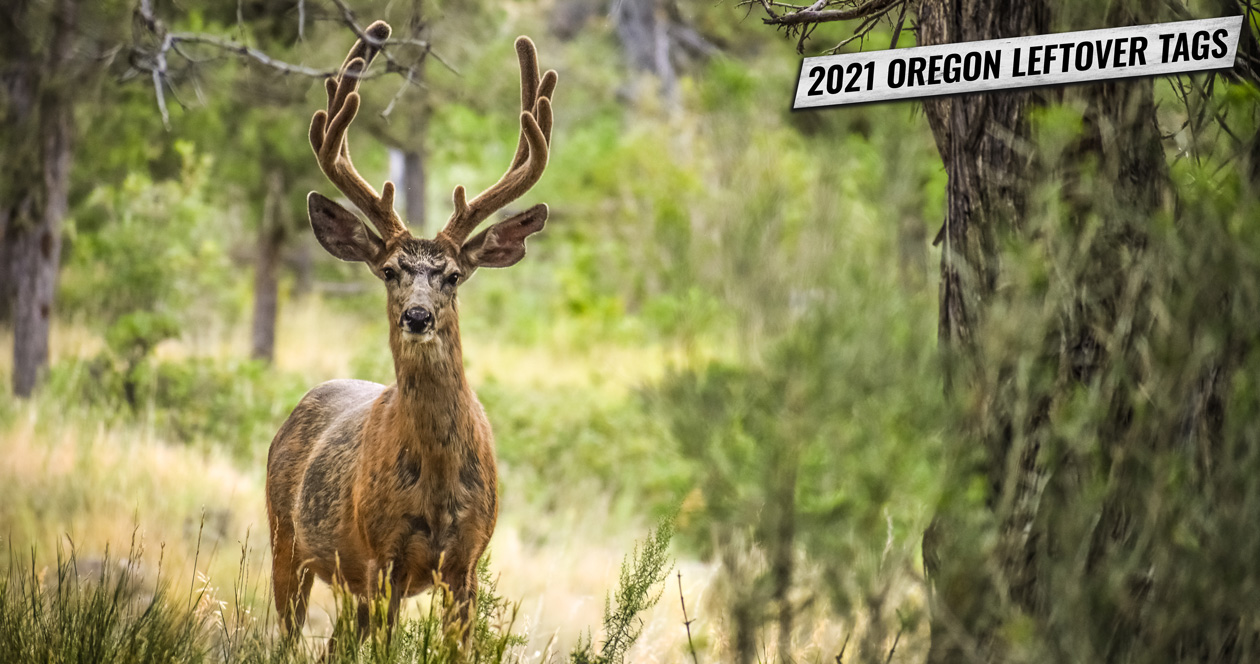 2021 Oregon leftover tag list now available // GOHUNT. The Hunting Company