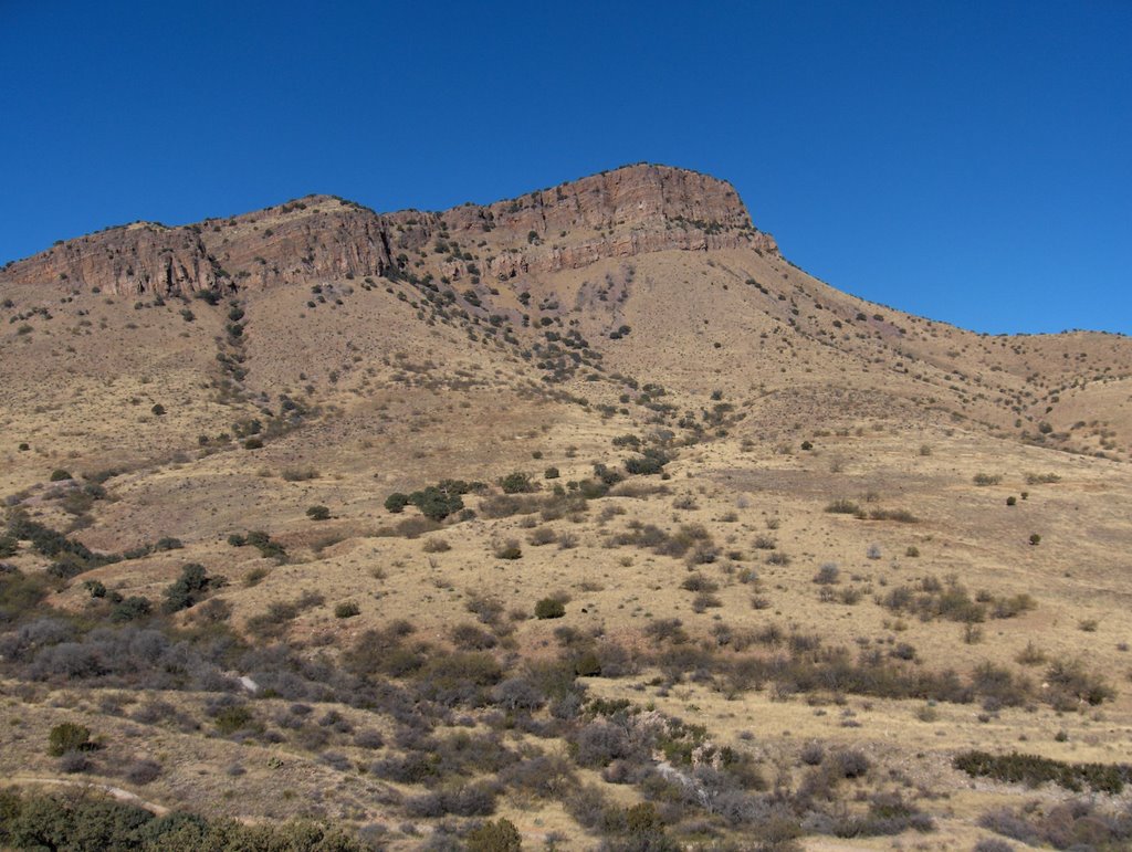 Arizona Unit 34B Unit Profile // GOHUNT. The Hunting Company