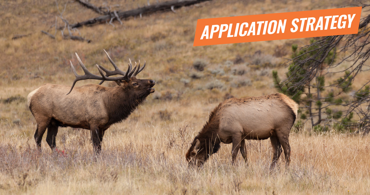 APPLICATION STRATEGY 2018 Wyoming Elk // GOHUNT. The Hunting Company