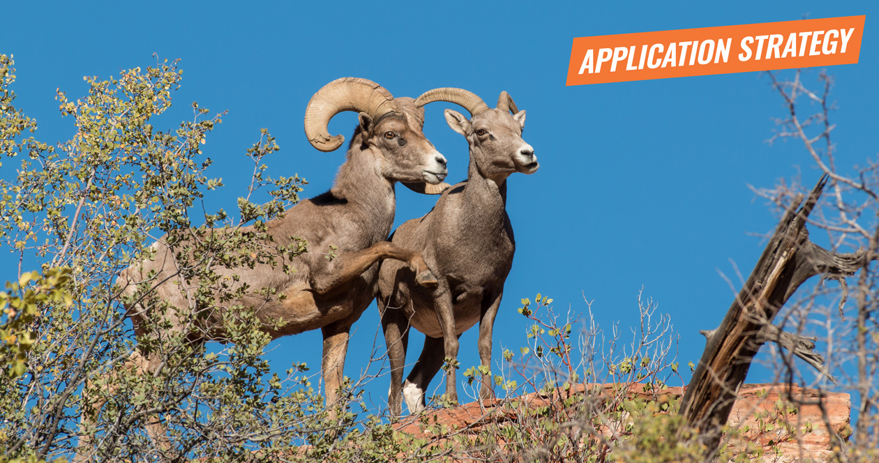 APPLICATION STRATEGY 2018 New Mexico Sheep // GOHUNT. The Hunting Company