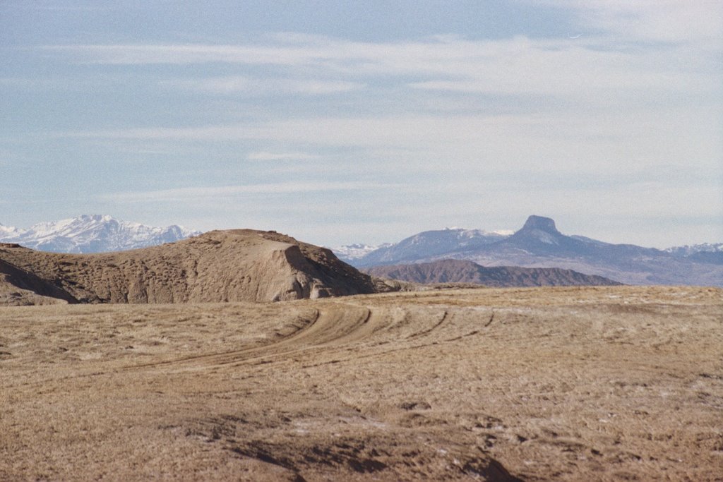 Wyoming Area 78 - McCullough Peaks Unit Profile - 11 Hunters are ...