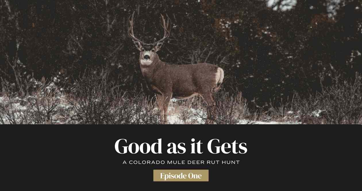 GOOD AS IT GETS — A Colorado Mule Deer Rut Hunt - Ep. 1 // GOHUNT. The ...