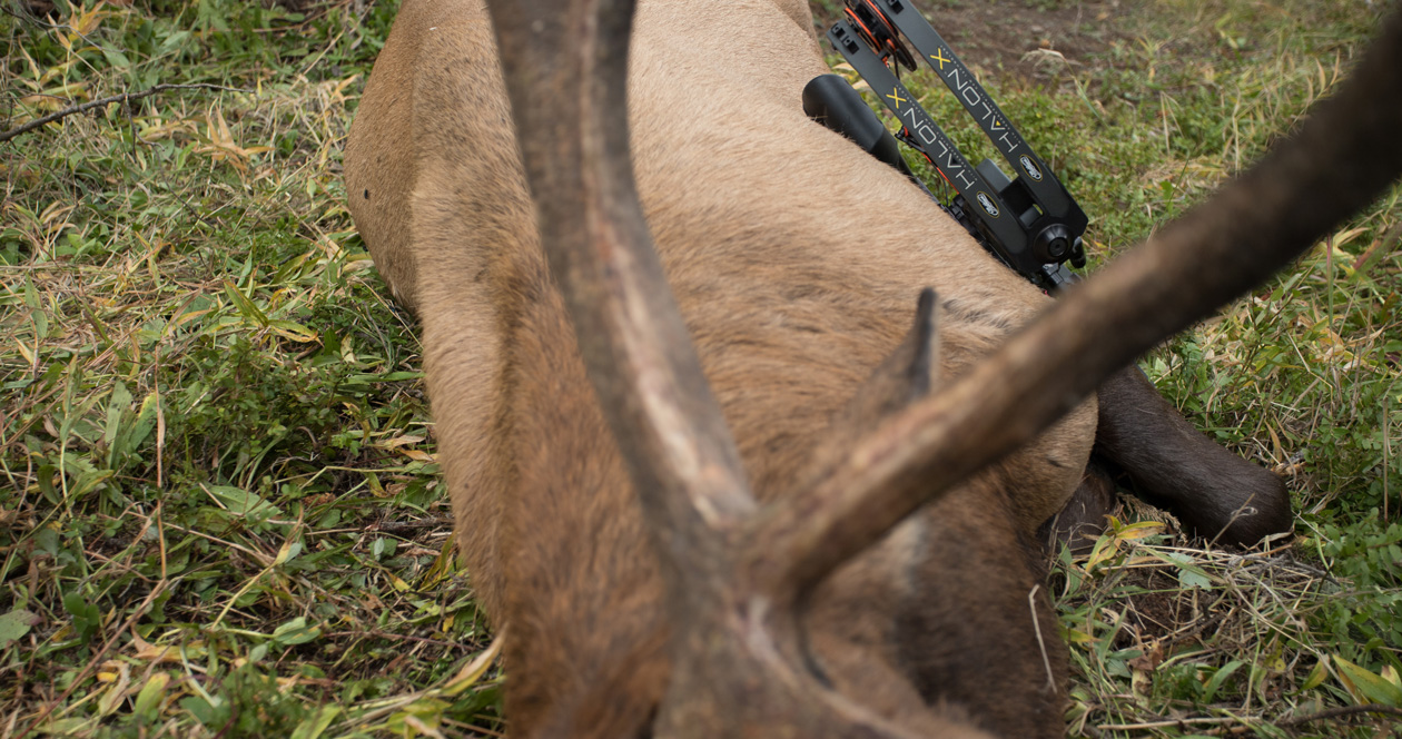 Stalking elk 101 // GOHUNT. The Hunting Company