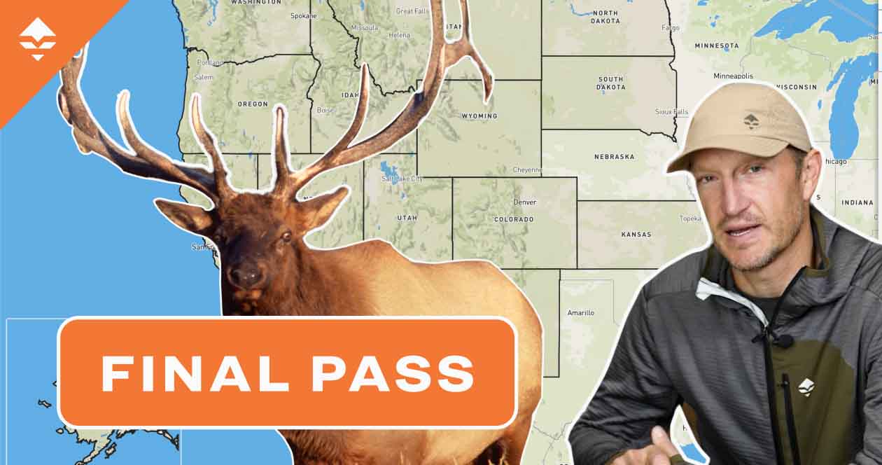 The final phase of getting an elk tag — Trail needs an elk tag Part 3