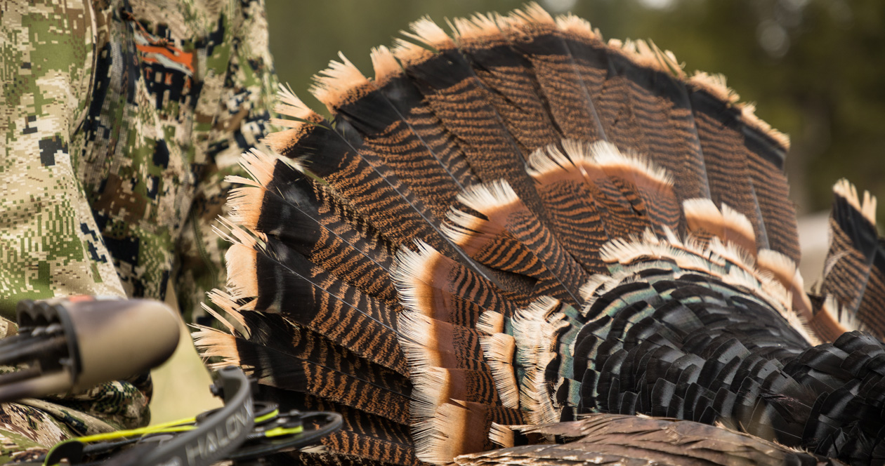 Turkey Hunting Tips, Tricks And Tactics For Success // GOHUNT. The ...