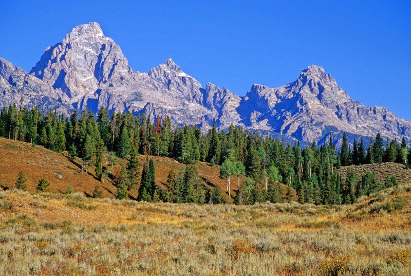 Wyoming Area 77 - National Elk Refuge Unit Profile - 5 Hunters are ...
