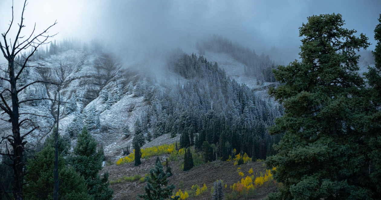 Tips for cold weather hunting // GOHUNT. The Hunting Company