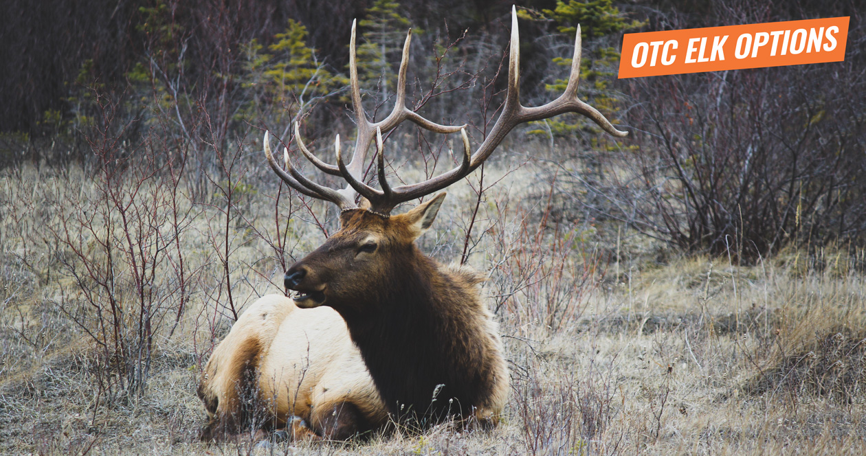 Indepth look at some of the top OTC elk hunts in the West // GOHUNT