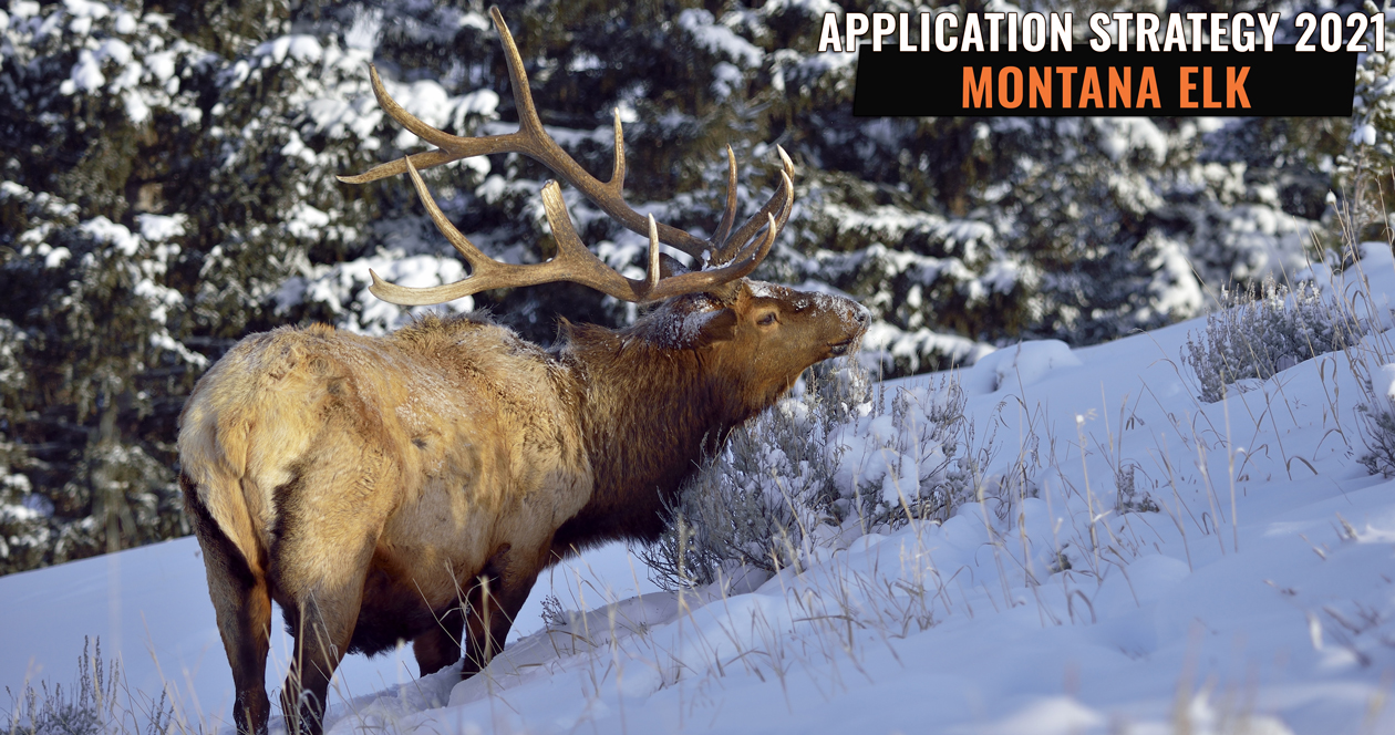APPLICATION STRATEGY 2021 Montana Elk // GOHUNT. The Hunting Company