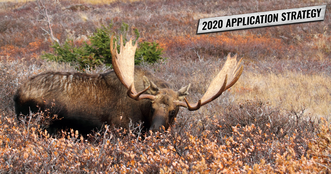 APPLICATION STRATEGY 2020: Wyoming Sheep, Moose, Goat and Bison ...