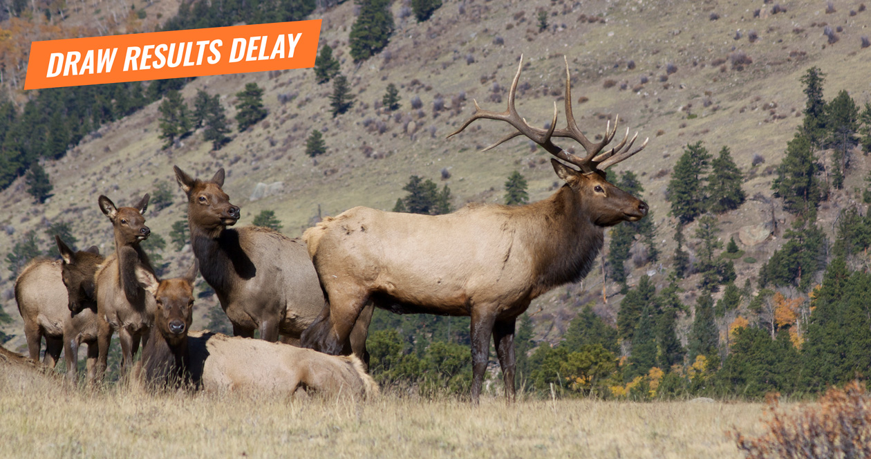 2018 Montana deer and elk draw results postponed a week // GOHUNT. The