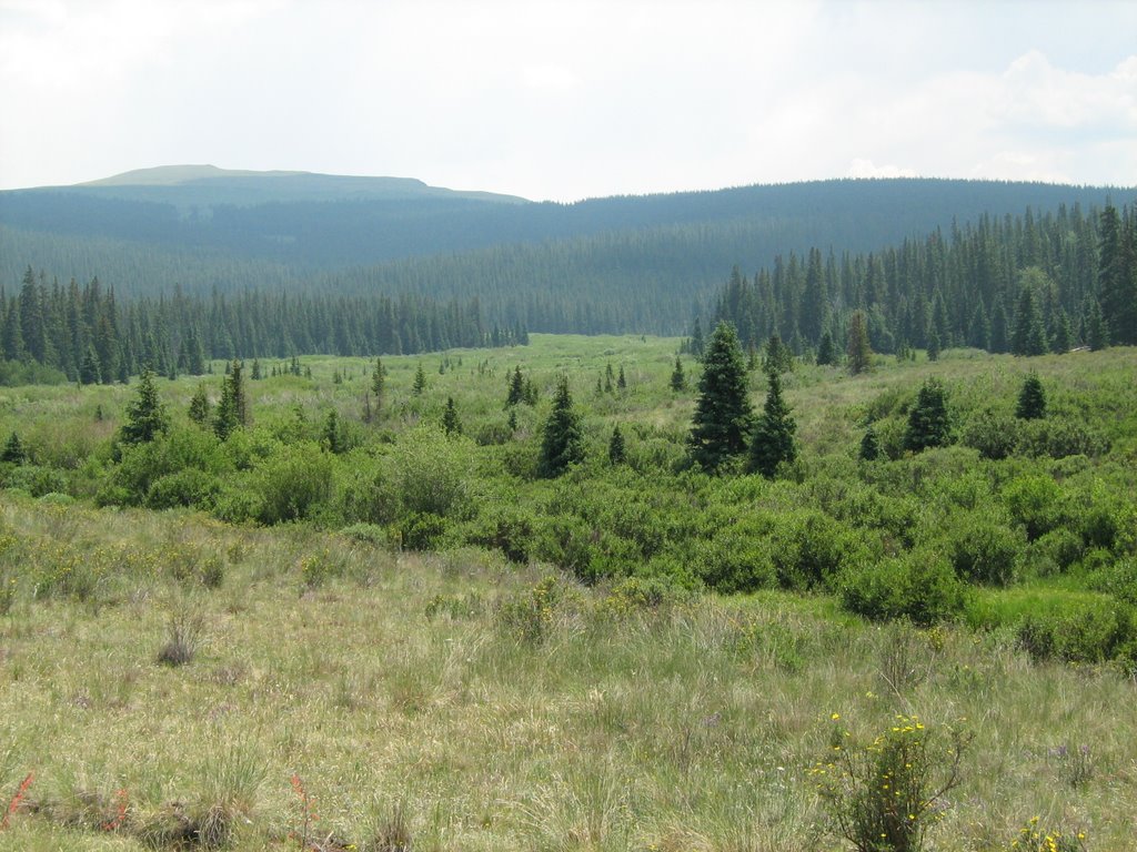 Colorado Unit 67 Unit Profile // GOHUNT. The Hunting Company