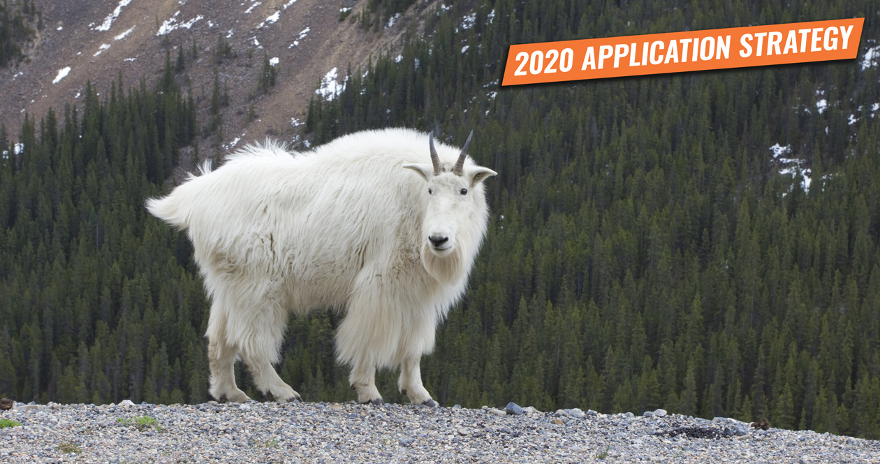 APPLICATION STRATEGY 2020 Idaho moose, bighorn sheep, and mountain