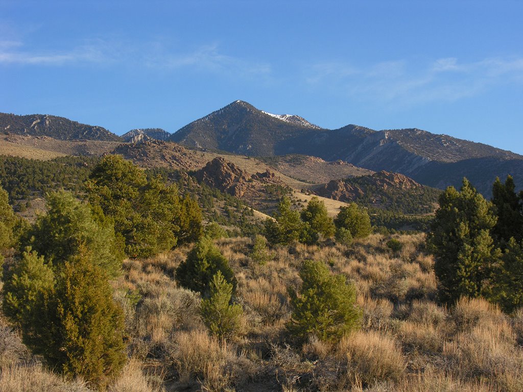 Nevada Unit 121 Unit Profile - 16 Hunters are talking about this Unit ...