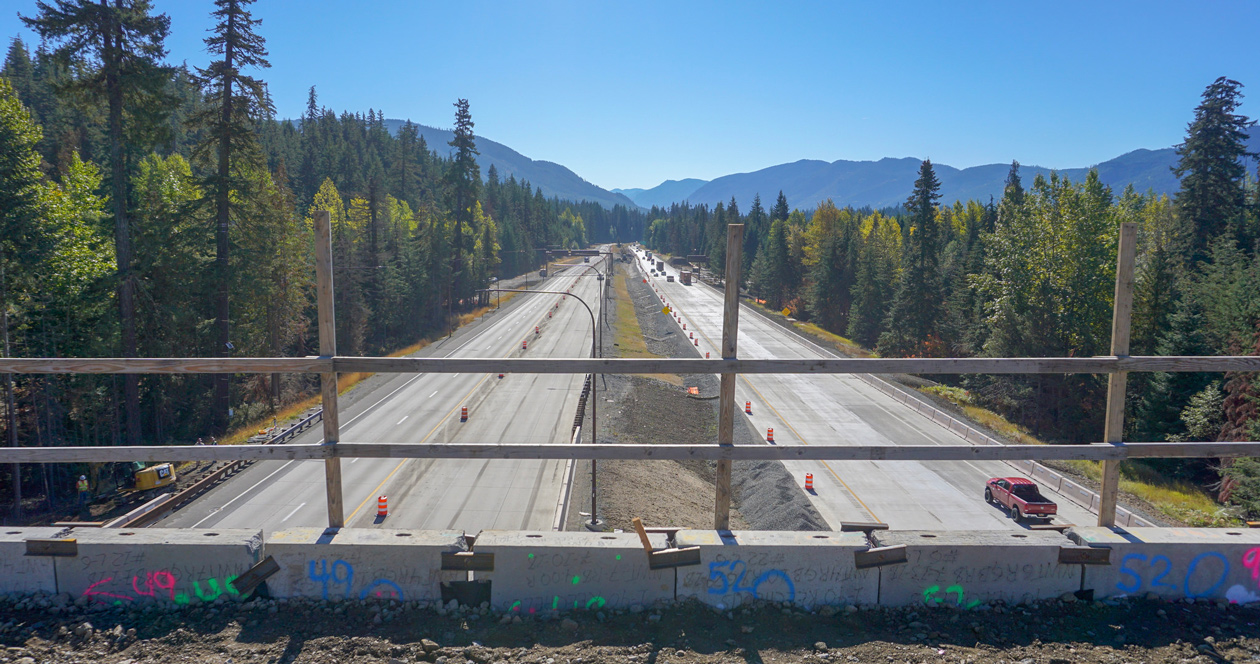 Washington's new wildlife crossing provides safety for elk, mountain ...