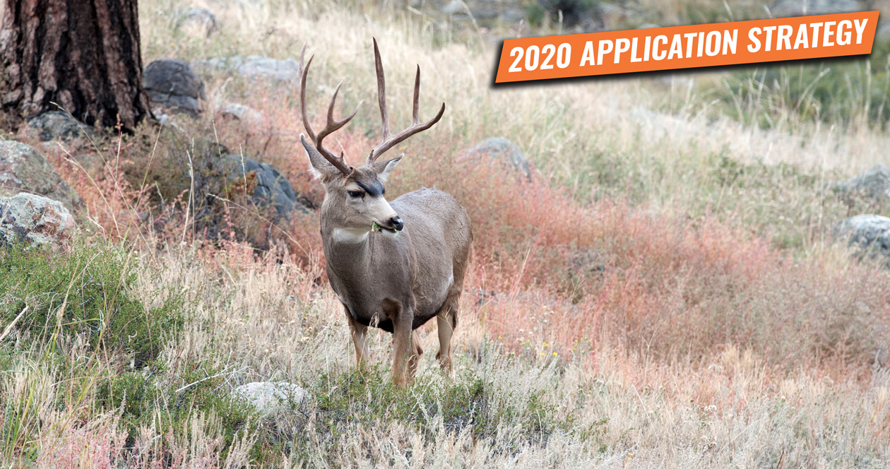 APPLICATION STRATEGY 2020 Oregon Deer // GOHUNT. The Hunting Company