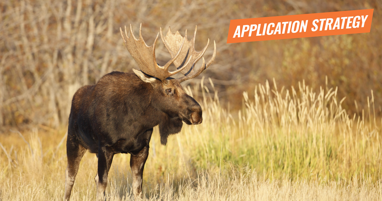 APPLICATION STRATEGY 2018 Utah Sheep, Moose, Goat, Bison // GOHUNT