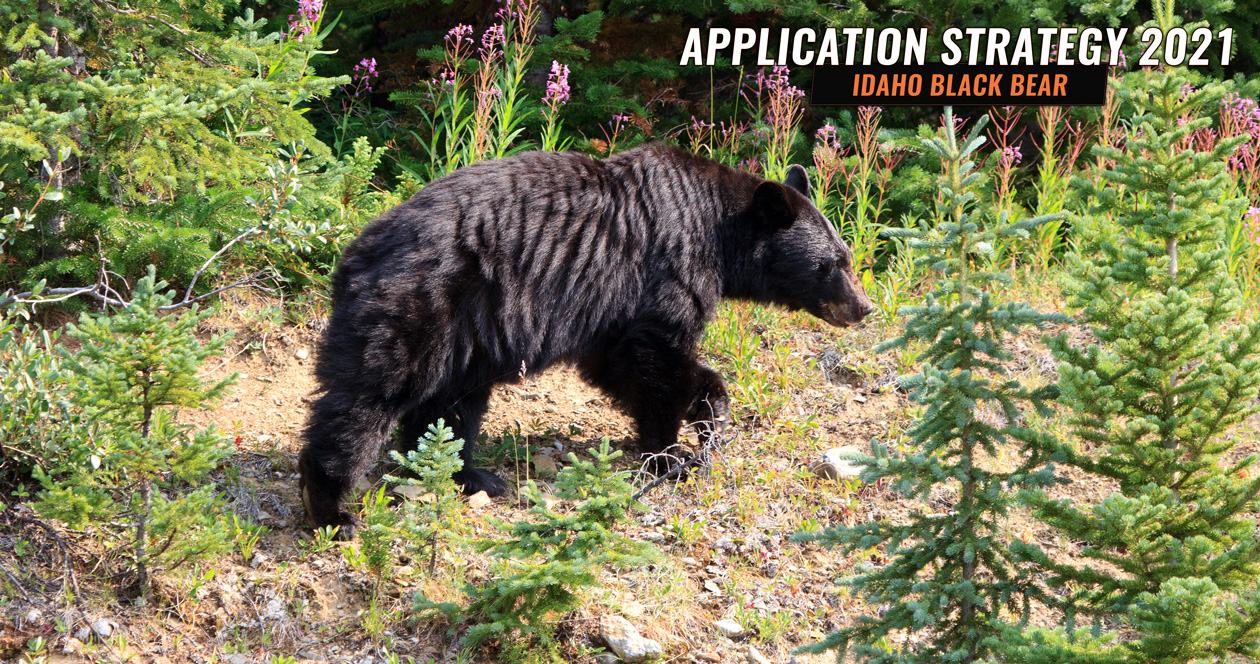 APPLICATION STRATEGY 2021 Idaho spring controlled black bear options // GOHUNT. The Hunting Company