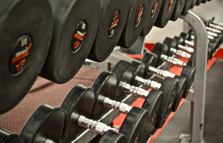 Hunting shape vs. beach shape: What's better for success? // GOHUNT ...